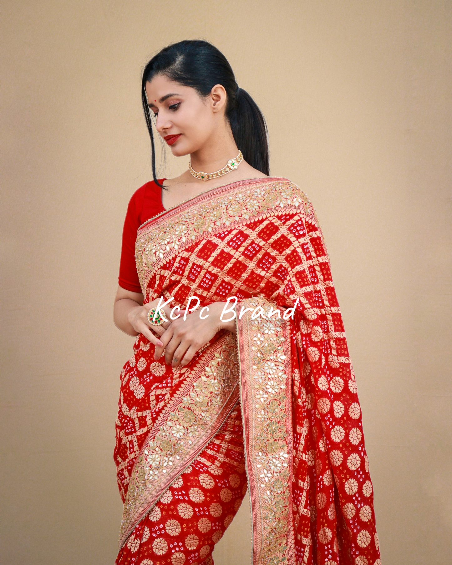 Pure khaddi georgette banarasi saree