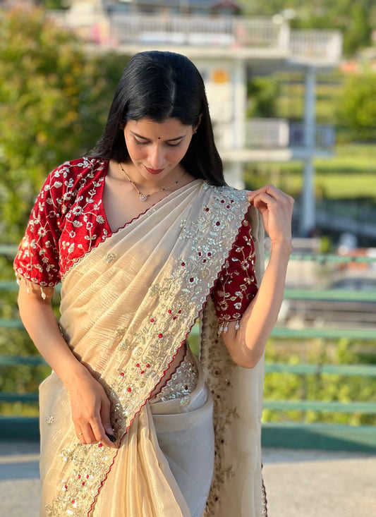Elegant sequin embroidery saree