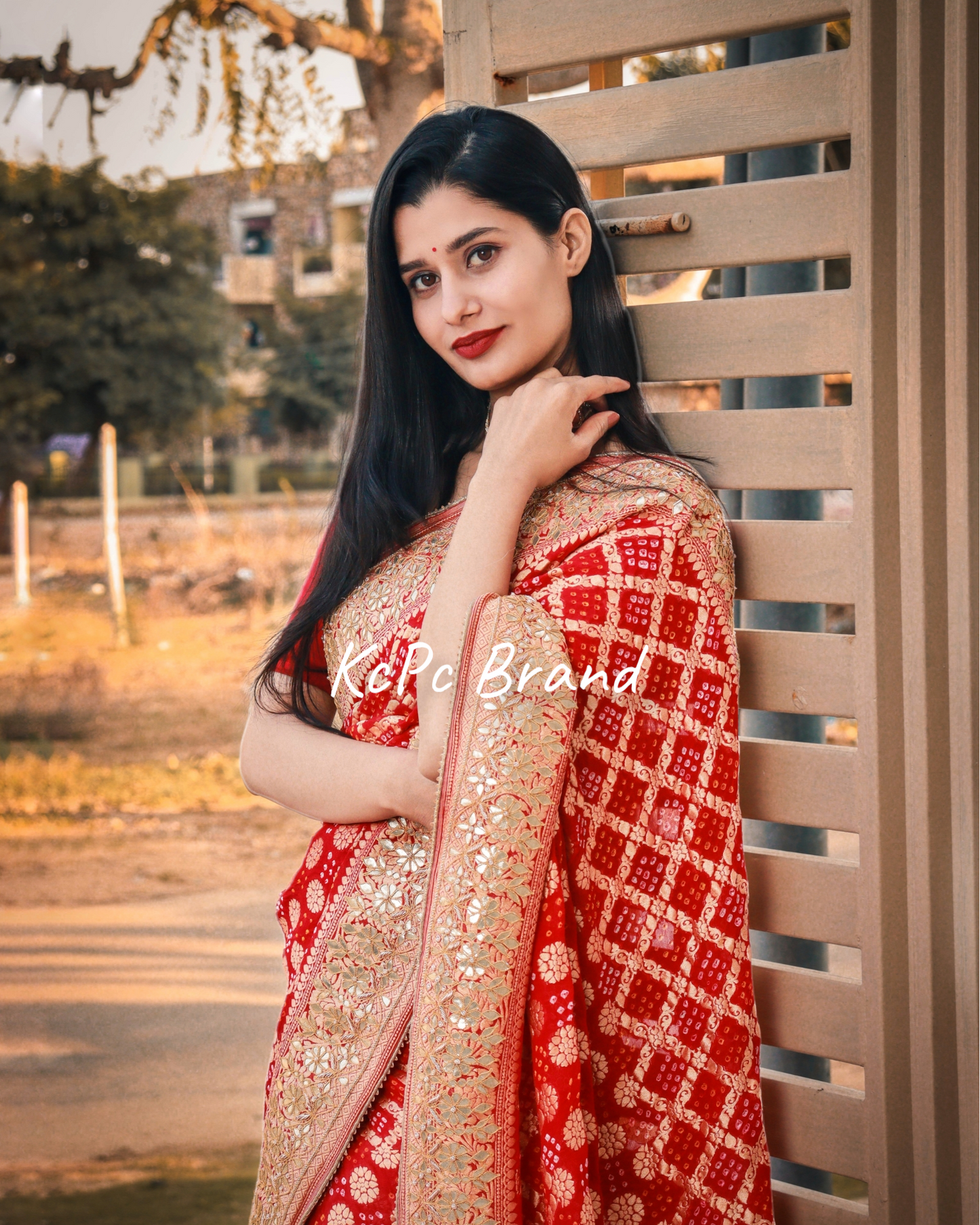 Pure khaddi georgette banarasi saree