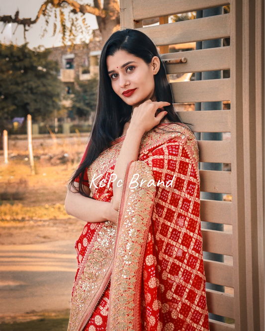 Pure khaddi georgette banarasi saree