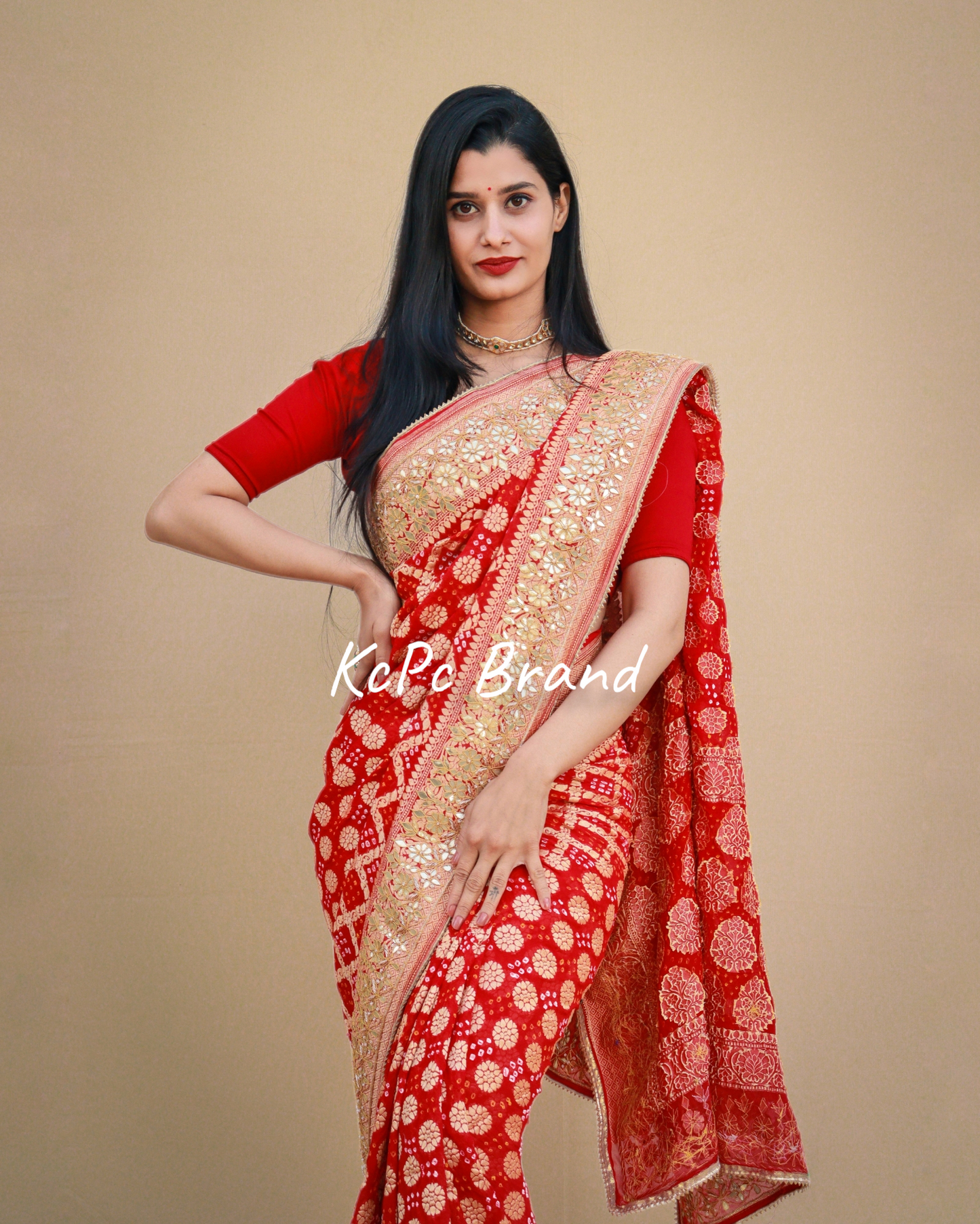 Pure khaddi georgette banarasi saree