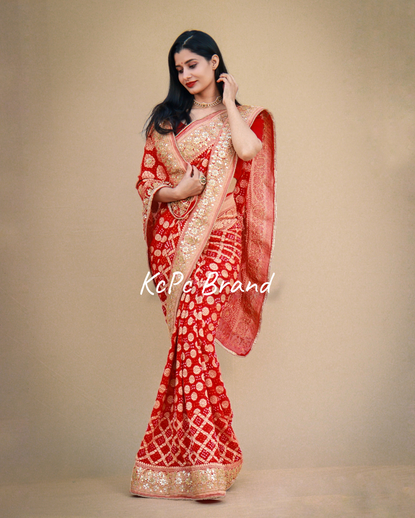 Pure khaddi georgette banarasi saree