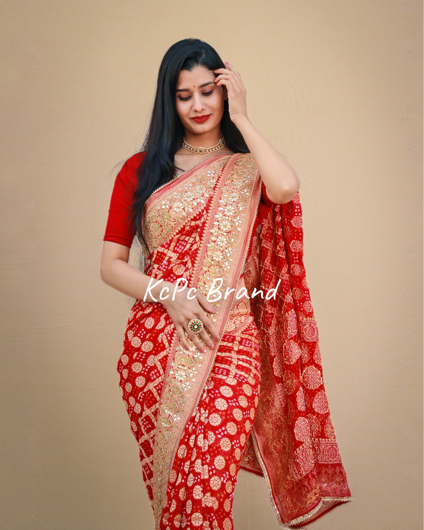 Pure khaddi georgette banarasi saree